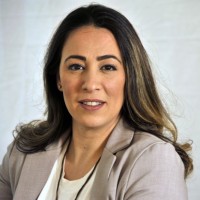 Zivan Levi - Gal