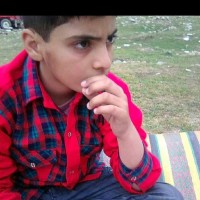 M.Rehan Khan