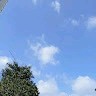 정대호