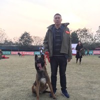 晏兴文