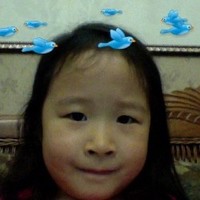 Ruifeng LU