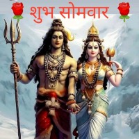 Suraj singh negi