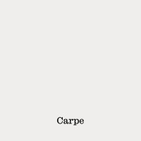 Dpto Comunicación Carpe