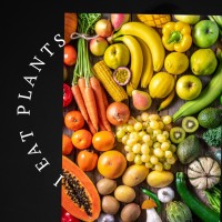 I am Plant Based Zonipa's Kitchen
