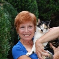 Debbie Ashton