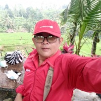 Wayan Suryono
