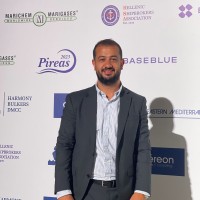 Ahmed Awwad
