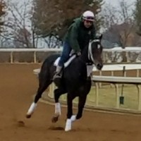 Andrew Valenzuela Ajvalracingstablellc