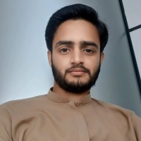 Hafiz Ali Hamza