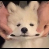 任金英