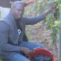 Raphael Bernard Diatta