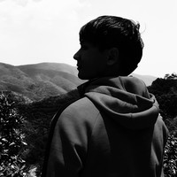 林智斌