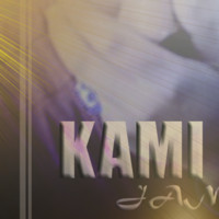 kamran ali