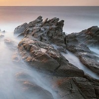 林秀卿