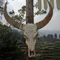 邬桂明