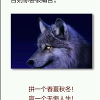 毕宪涛