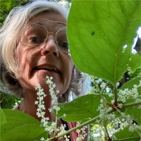 Julia Keune