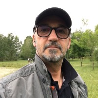 daniele masiero