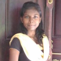 Shinu K Rajan