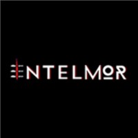 Intelmor Team