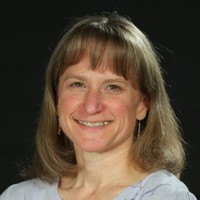 Shari Siporin
