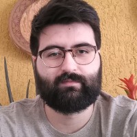 Pedro Henrique Geraldini Pereira