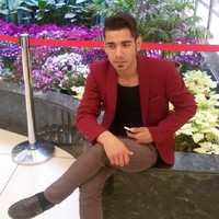 ramin Narimani