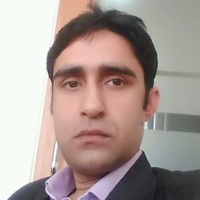Ashok Raina