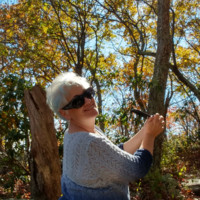Brenda Tarbox