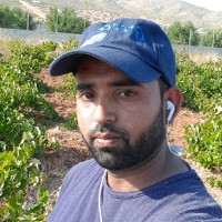 Tamoor Hussain