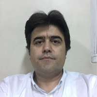 Alper Hakan Demir