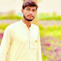 Malik Nomi