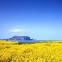 杨林林