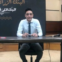 Mohamed Ghorab