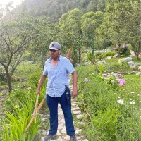 Joraawar Singh Bhullar