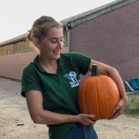 Annemiek Janssen