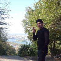 Ehsan Arani