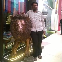 Rajesh Kumar Narayanan