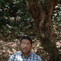 Pranav Bhavsar
