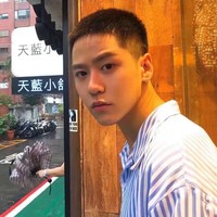 卢树东