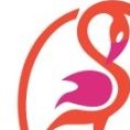Flamingo Logistics