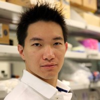 Andrew Wu
