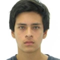 Leonardo Joel Flores Ascue