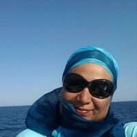 Dina El-Shafey