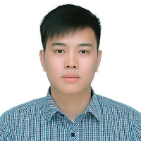 Việt Anh