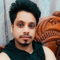 Md Nasim Ansari