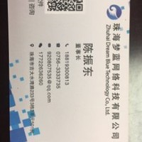 陈振东