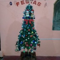 Joao Gomes Barao