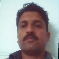 Gul Zaib