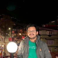 Ankit Roy